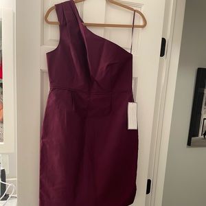 NWT J.Crew Misha sz 10 one shoulder dress in plum 🍾